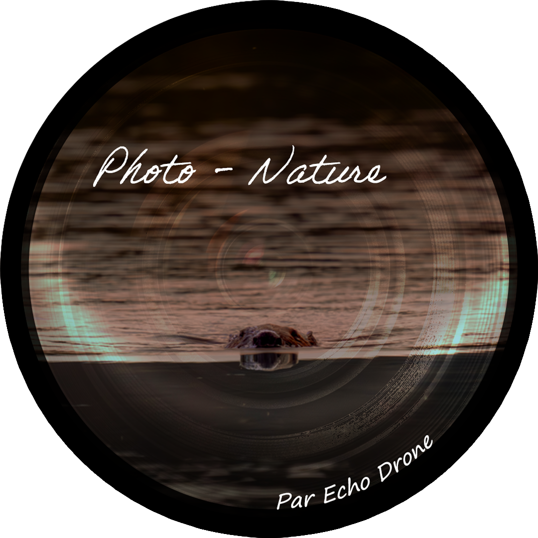 Accueil | Photo & Vidéo Nature